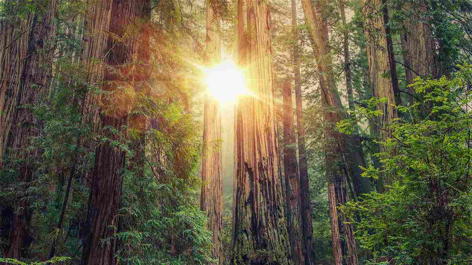 Helyx Health Located in California, CA