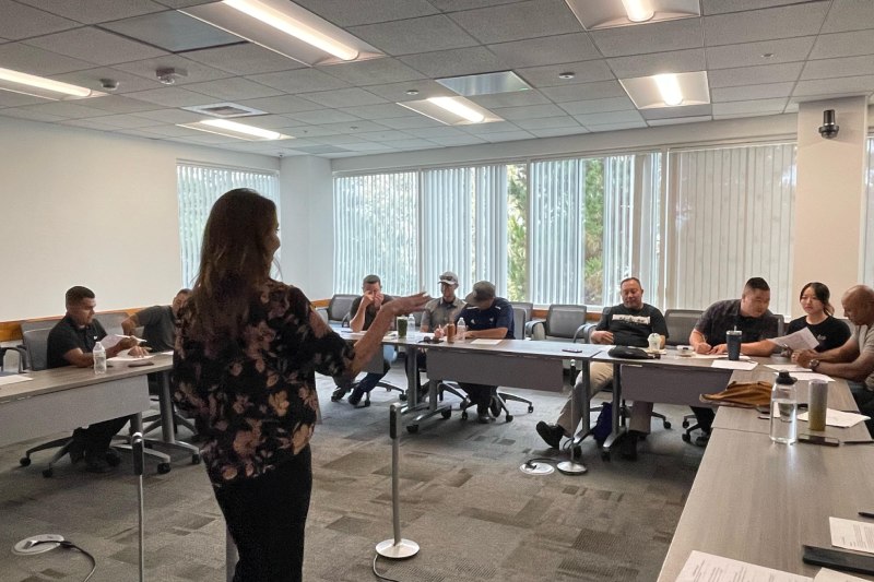 Organizational Consultation & Speaking Engagements at Helyx Health in San Francisco, Palo Alto, and Beverly Hills, CA